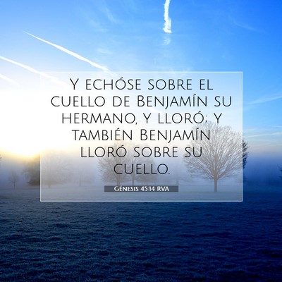 Picture 07 - Génesis 45:14 RVA - Y echóse sobre el cuello de Benjamín su - Bible Verse Picture