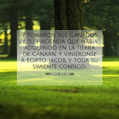 Picture 07 - Génesis 46:6 RVA - Y tomaron sus ganados, y su hacienda que había - Bible Verse Picture