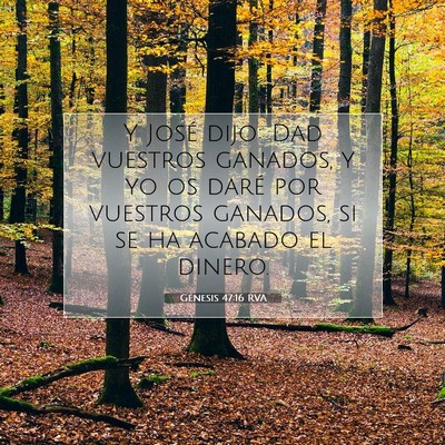 Picture 07 - Génesis 47:16 RVA - Y José dijo: Dad vuestros ganados, y yo os daré - Bible Verse Picture