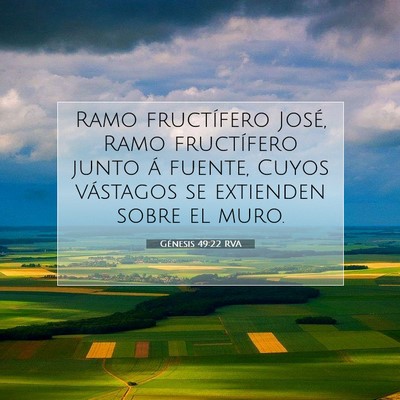 Picture 07 - Génesis 49:22 RVA - Ramo fructífero José, Ramo fructífero junto á - Bible Verse Picture