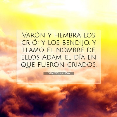 Picture 07 - Génesis 5:2 RVA - Varón y hembra los crió; y los bendijo, y - Bible Verse Picture