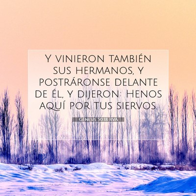 Picture 07 - Génesis 50:18 RVA - Y vinieron también sus hermanos, y postráronse - Bible Verse Picture