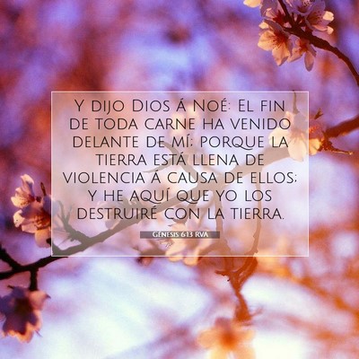 Picture 07 - Génesis 6:13 RVA - Y dijo Dios á Noé: El fin de toda carne ha - Bible Verse Picture