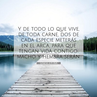 Picture 07 - Génesis 6:19 RVA - Y de todo lo que vive, de toda carne, dos de cada - Bible Verse Picture