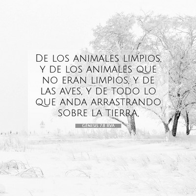 Picture 07 - Génesis 7:8 RVA - De los animales limpios, y de los animales que no - Bible Verse Picture