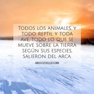 Picture 07 - Génesis 8:19 RVA - Todos los animales, y todo reptil y toda ave, - Bible Verse Picture