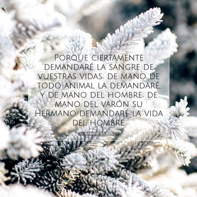 Picture 07 - Génesis 9:5 RVA - Porque ciertamente demandaré la sangre de - Bible Verse Picture