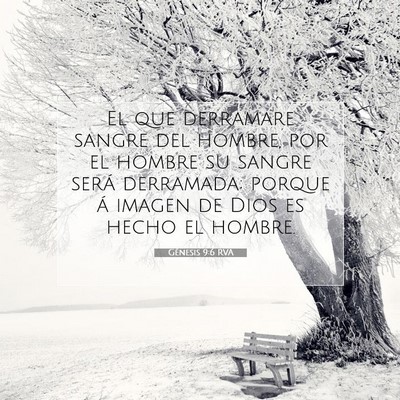 Picture 07 - Génesis 9:6 RVA - El que derramare sangre del hombre, por el hombre - Bible Verse Picture