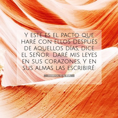 Picture 07 - Hebreos 10:16 RVA - Y este es el pacto que haré con ellos Después - Bible Verse Picture