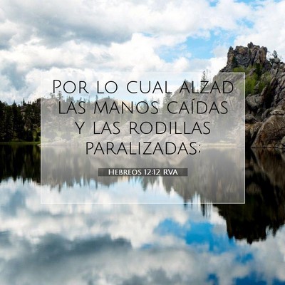 Picture 07 - Hebreos 12:12 RVA - Por lo cual alzad las manos caídas y las - Bible Verse Picture