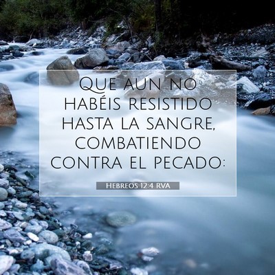 Picture 07 - Hebreos 12:4 RVA - Que aun no habéis resistido hasta la sangre, - Bible Verse Picture