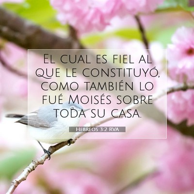 Picture 07 - Hebreos 3:2 RVA - El cual es fiel al que le constituyó, como - Bible Verse Picture