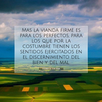 Picture 07 - Hebreos 5:14 RVA - Mas la vianda firme es para los perfectos, para - Bible Verse Picture