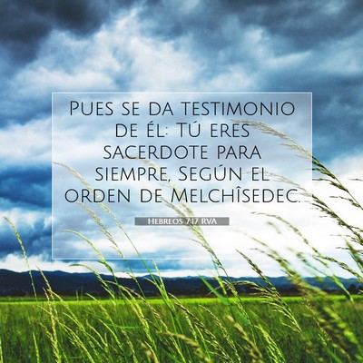 Picture 07 - Hebreos 7:17 RVA - Pues se da testimonio de él: Tú eres sacerdote - Bible Verse Picture