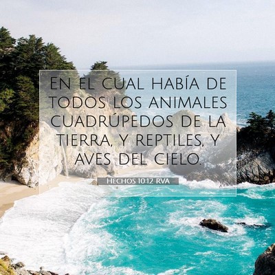 Picture 07 - Hechos 10:12 RVA - En el cual había de todos los animales - Bible Verse Picture