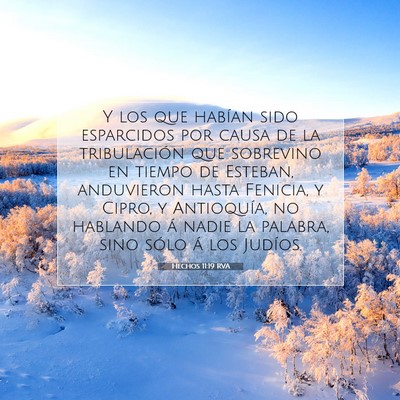 Picture 07 - Hechos 11:19 RVA - Y los que habían sido esparcidos por causa de la - Bible Verse Picture