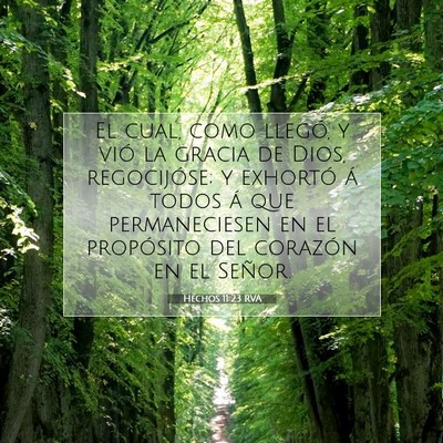Picture 07 - Hechos 11:23 RVA - El cual, como llegó, y vió la gracia de Dios, - Bible Verse Picture