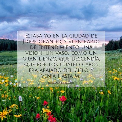 Picture 07 - Hechos 11:5 RVA - Estaba yo en la ciudad de Joppe orando, y vi en - Bible Verse Picture