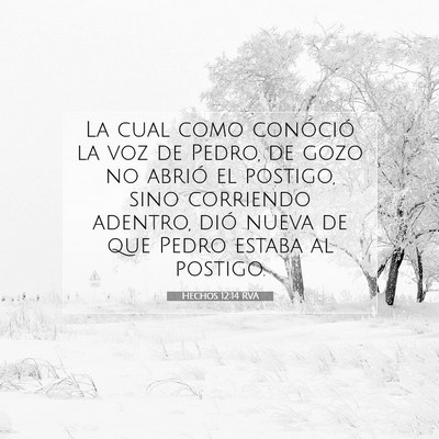 Picture 07 - Hechos 12:14 RVA - La cual como conoció la voz de Pedro, de gozo no - Bible Verse Picture