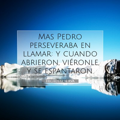 Picture 07 - Hechos 12:16 RVA - Mas Pedro perseveraba en llamar: y cuando - Bible Verse Picture