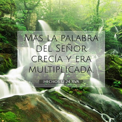 Picture 07 - Hechos 12:24 RVA - Mas la palabra del Señor crecía y era - Bible Verse Picture
