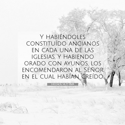 Picture 07 - Hechos 14:23 RVA - Y habiéndoles constituído ancianos en cada una - Bible Verse Picture