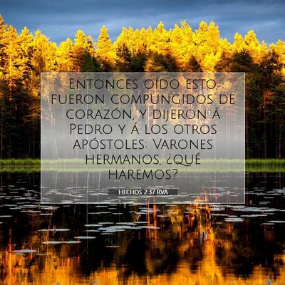 Picture 07 - Hechos 2:37 RVA - Entonces oído esto, fueron compungidos de - Bible Verse Picture