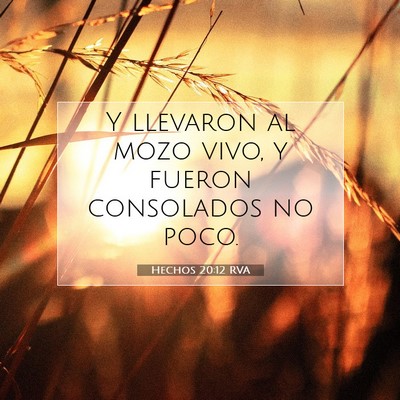 Picture 07 - Hechos 20:12 RVA - Y llevaron al mozo vivo, y fueron consolados no - Bible Verse Picture