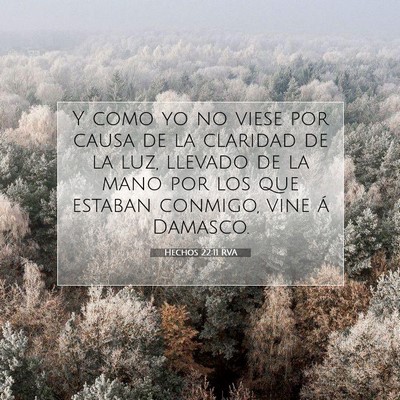 Picture 07 - Hechos 22:11 RVA - Y como yo no viese por causa de la claridad de la - Bible Verse Picture