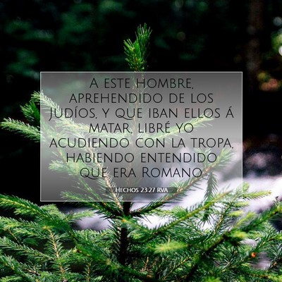 Picture 07 - Hechos 23:27 RVA - A este hombre, aprehendido de los Judíos, y que - Bible Verse Picture