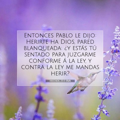 Picture 07 - Hechos 23:3 RVA - Entonces Pablo le dijo: Herirte ha Dios, pared - Bible Verse Picture