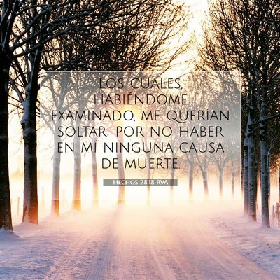 Picture 07 - Hechos 28:18 RVA - Los cuales, habiéndome examinado, me querían - Bible Verse Picture