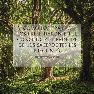Picture 07 - Hechos 5:27 RVA - Y como los trajeron, los presentaron en el - Bible Verse Picture
