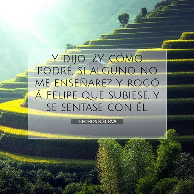 Picture 07 - Hechos 8:31 RVA - Y dijo: ¿Y cómo podré, si alguno no me - Bible Verse Picture