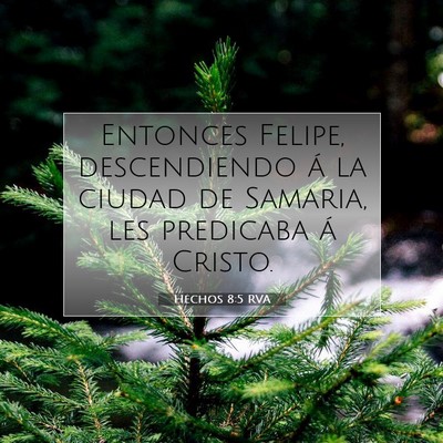 Picture 07 - Hechos 8:5 RVA - Entonces Felipe, descendiendo á la ciudad de - Bible Verse Picture