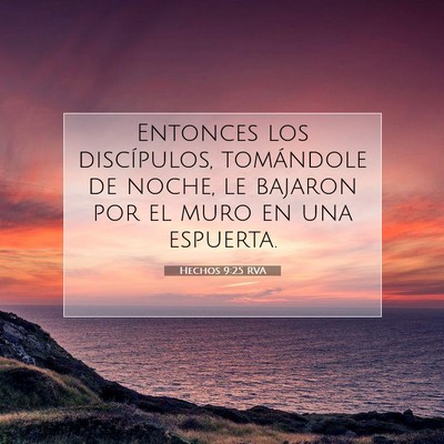 Picture 07 - Hechos 9:25 RVA - Entonces los discípulos, tomándole de noche, le - Bible Verse Picture