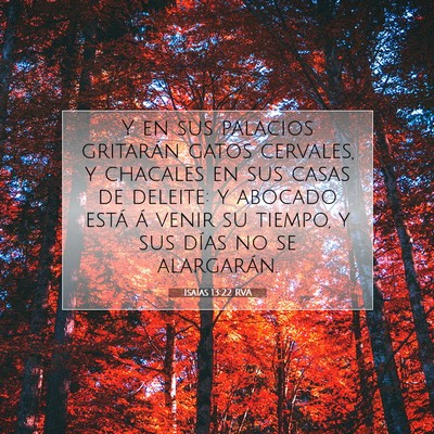 Picture 07 - Isaías 13:22 RVA - Y en sus palacios gritarán gatos cervales, y - Bible Verse Picture