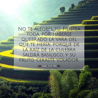 Picture 07 - Isaías 14:29 RVA - No te alegres tú, Filistea toda, por haberse - Bible Verse Picture