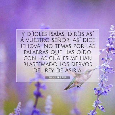 Picture 07 - Isaías 37:6 RVA - Y díjoles Isaías: Diréis así á vuestro - Bible Verse Picture