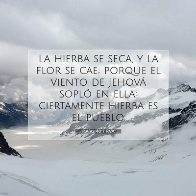 Picture 07 - Isaías 40:7 RVA - La hierba se seca, y la flor se cae; porque el - Bible Verse Picture