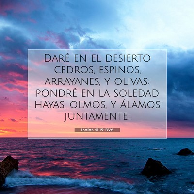 Picture 07 - Isaías 41:19 RVA - Daré en el desierto cedros, espinos, arrayanes, - Bible Verse Picture