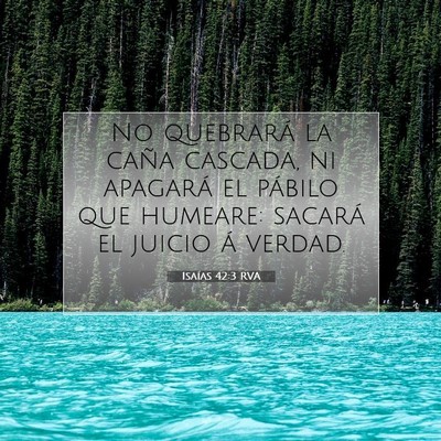 Picture 07 - Isaías 42:3 RVA - No quebrará la caña cascada, ni apagará el - Bible Verse Picture