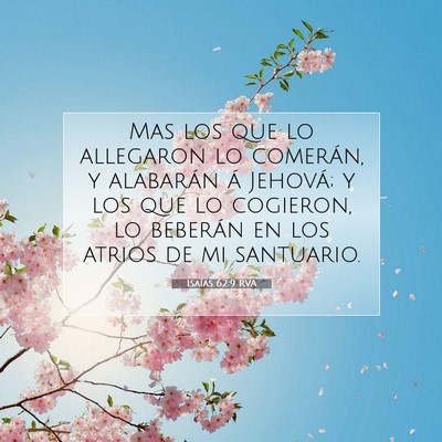 Picture 07 - Isaías 62:9 RVA - Mas los que lo allegaron lo comerán, y alabarán - Bible Verse Picture
