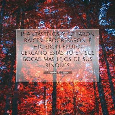 Picture 07 - Jeremías 12:2 RVA - Plantástelos, y echaron raíces; progresaron, é - Bible Verse Picture