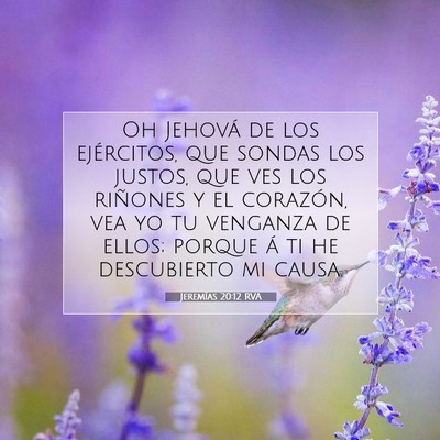 Picture 07 - Jeremías 20:12 RVA - Oh Jehová de los ejércitos, que sondas los - Bible Verse Picture
