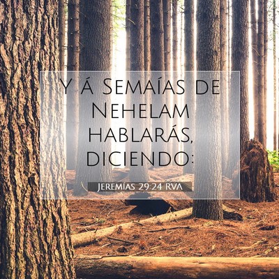 Picture 07 - Jeremías 29:24 RVA - Y á Semaías de Nehelam hablarás, - Bible Verse Picture