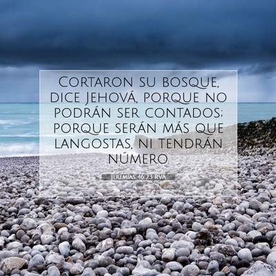 Picture 07 - Jeremías 46:23 RVA - Cortaron su bosque, dice Jehová, porque no - Bible Verse Picture