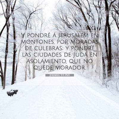 Picture 07 - Jeremías 9:11 RVA - Y pondré á Jerusalem en montones, por moradas - Bible Verse Picture