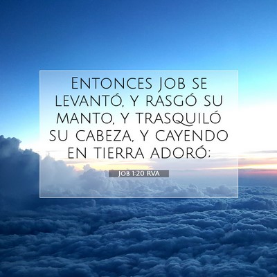 Picture 07 - Job 1:20 RVA - Entonces Job se levantó, y rasgó su manto, y - Bible Verse Picture