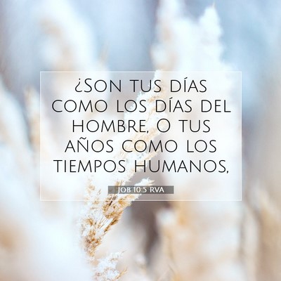 Picture 07 - Job 10:5 RVA - ¿Son tus días como los días del hombre, O tus - Bible Verse Picture
